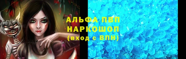 тгк Долгопрудный