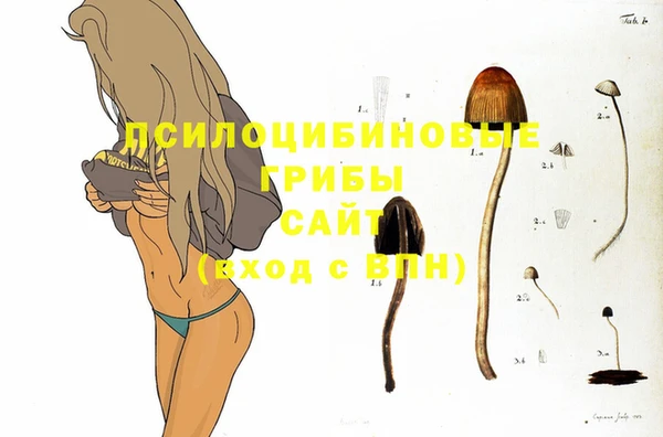 не бодяженный Краснотурьинск