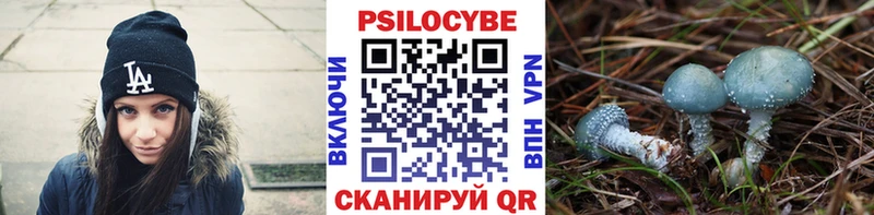 Псилоцибиновые грибы Cubensis  omg ссылки  Зуевка 